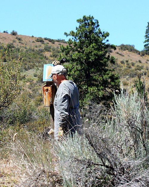 Image - Joe Zook monitoring a box on Cleman Mountain - Karen Zook