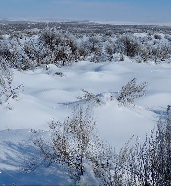 Image - Shrub-steppe ecosystem, habitat for Greater Sage-Grouse. Sagebrush Flats west of Ephrata