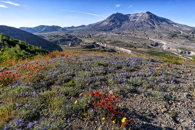 Image - Mount St. Helens - photo by D.T. Strouse